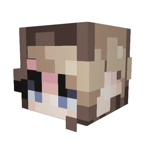 Nappy13 Minecraft avatar head, 3D render