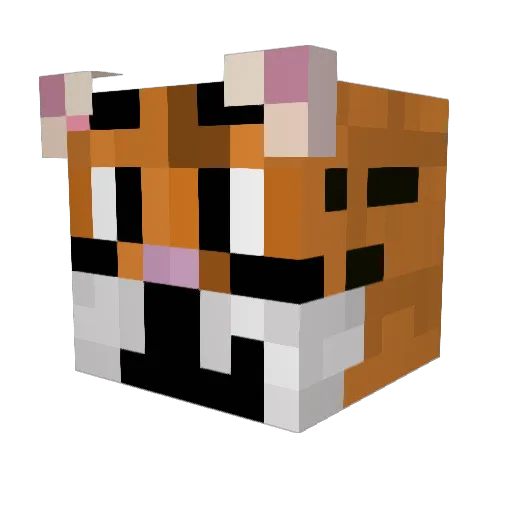 NapsZ Minecraft avatar head, 3D render