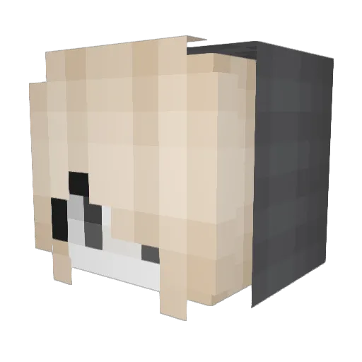 Nar1k0 Minecraft avatar head, 3D render