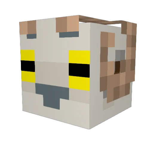Nar3xx Minecraft avatar head, 3D render