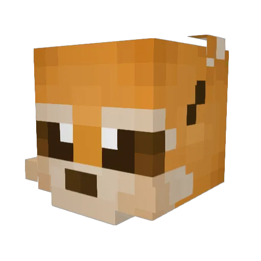 Nar4 Minecraft avatar head, 3D render