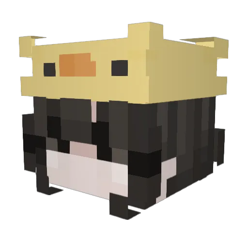 NarRa17 Minecraft avatar head, 3D render