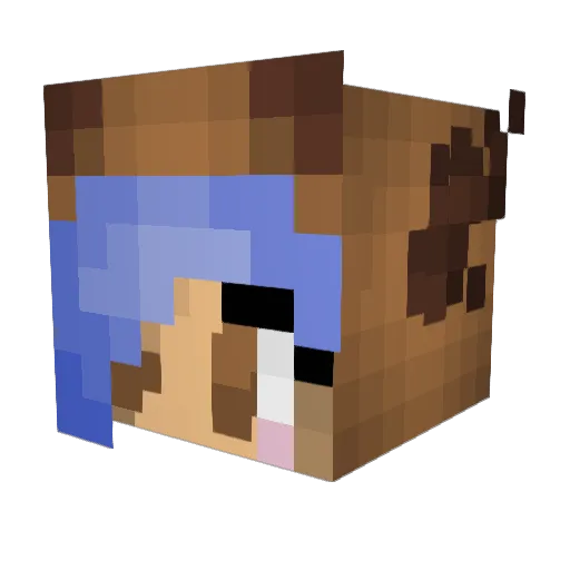 Nara_Rez Minecraft avatar head, 3D render