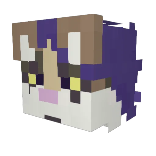 Naradoxy Minecraft avatar head, 3D render