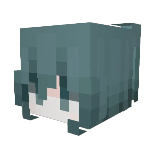 Naragayo Minecraft avatar head, 3D render