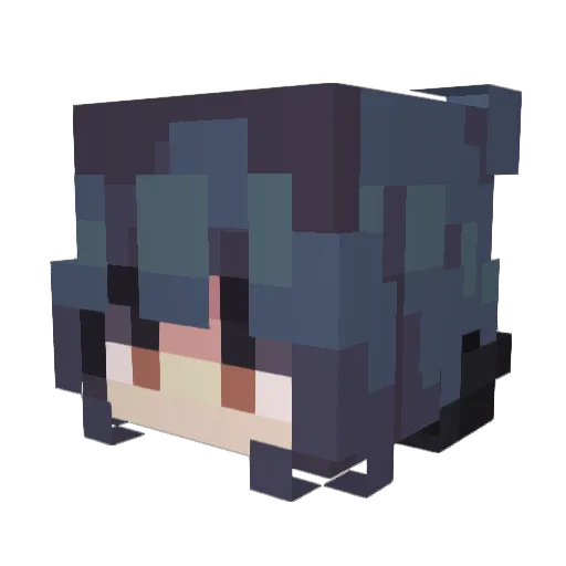 Naraku_95 Minecraft avatar head, 3D render