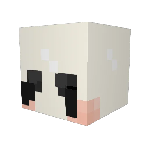 Naranaha00 Minecraft avatar head, 3D render