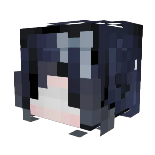 Narandralmx Minecraft avatar head, 3D render