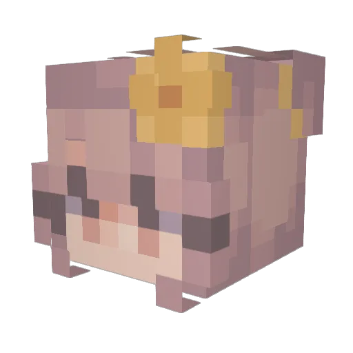 Naranja500 Minecraft avatar head, 3D render