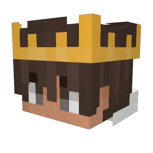 Narasinga16 Minecraft avatar head, 3D render
