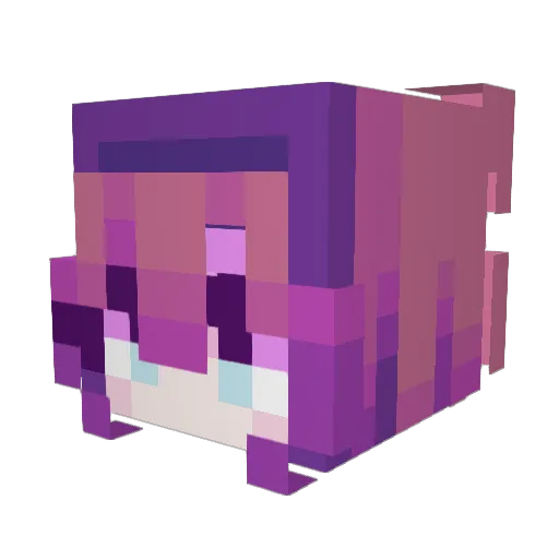 Naraya333 Minecraft avatar head, 3D render
