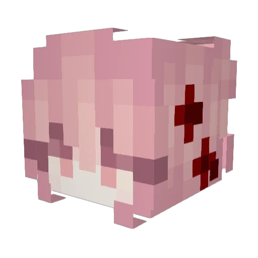 Narayna2B Minecraft avatar head, 3D render