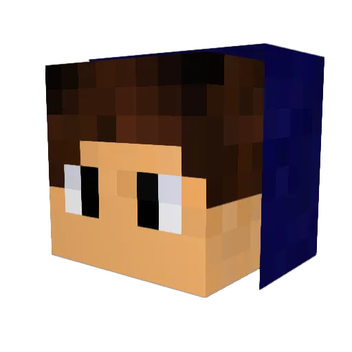 Narbu02 Minecraft avatar head, 3D render