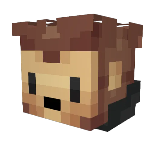 Narcan9 Minecraft avatar head, 3D render