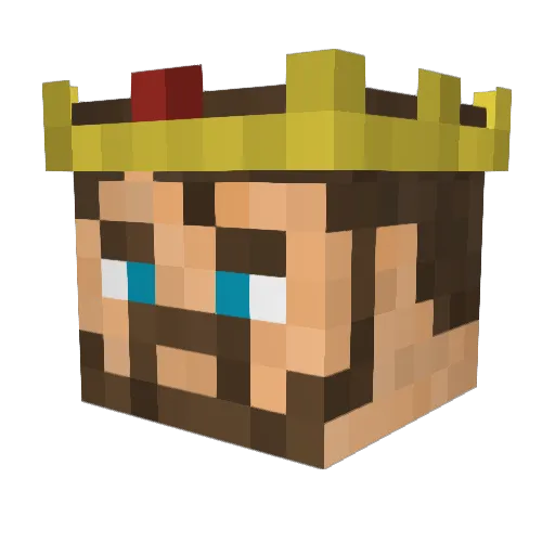 Narci71 Minecraft avatar head, 3D render