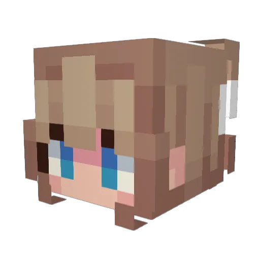 Narcisme Minecraft avatar head, 3D render