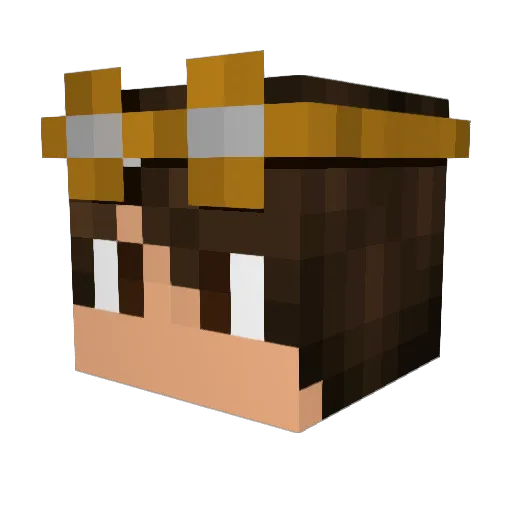 Narcotiik_ Minecraft avatar head, 3D render