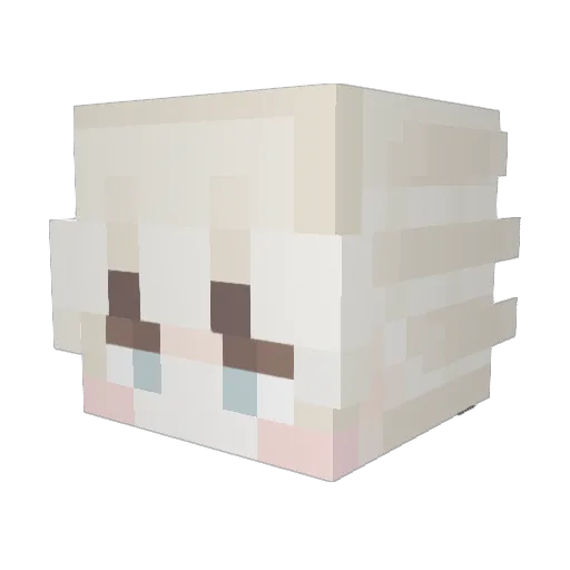 Nard58 Minecraft avatar head, 3D render