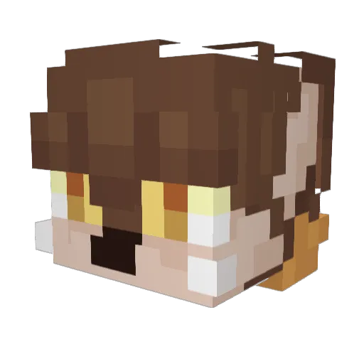 NardlyS Minecraft avatar head, 3D render
