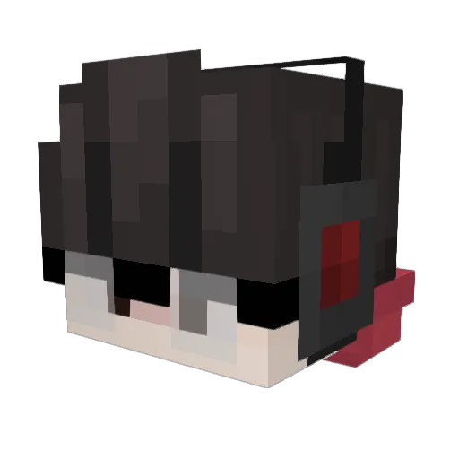Nardo_Bau Minecraft avatar head, 3D render