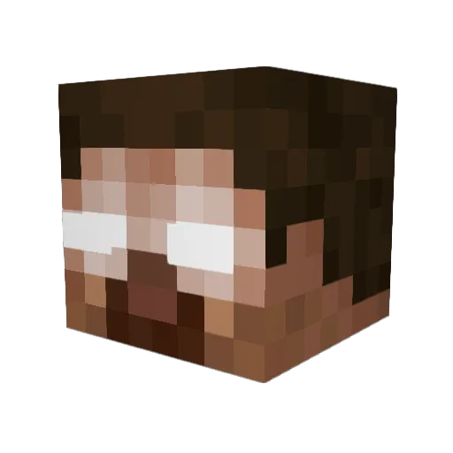 Nardology Minecraft avatar head, 3D render
