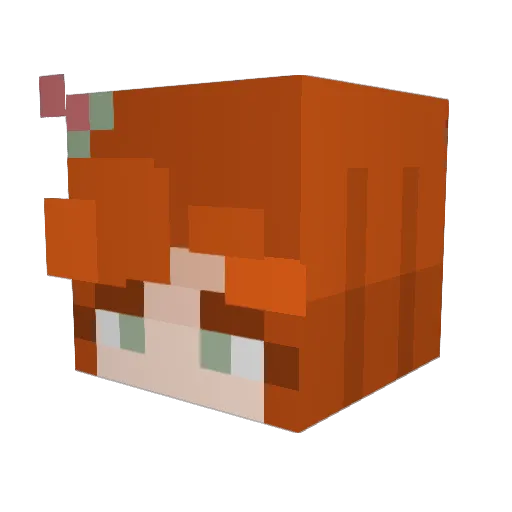 NarelAK Minecraft avatar head, 3D render