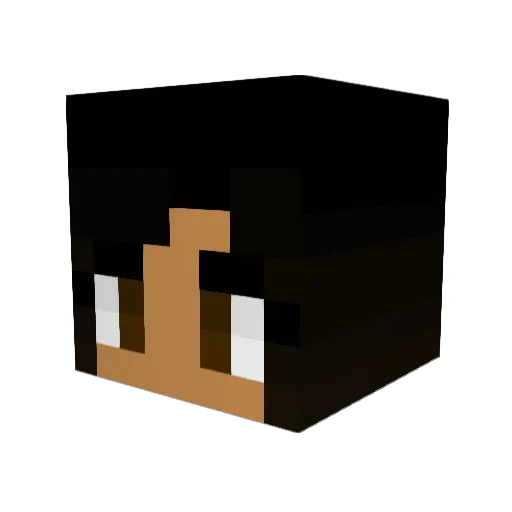 Narely24 Minecraft avatar head, 3D render