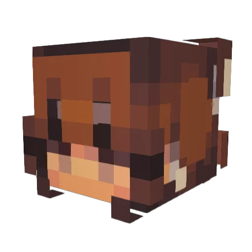 Narf8820 Minecraft avatar head, 3D render