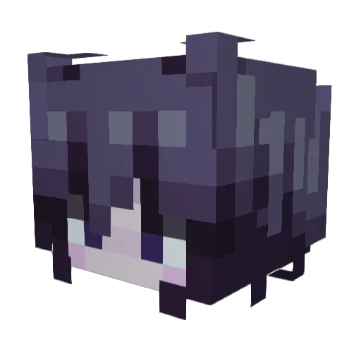 Narfer_ Minecraft avatar head, 3D render