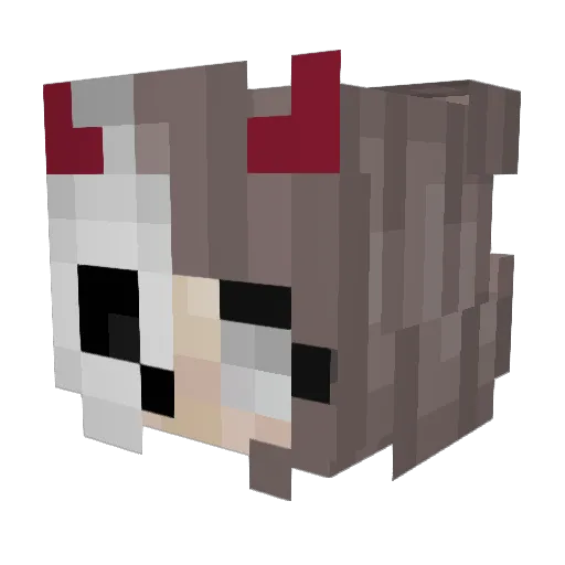 Narfii Minecraft avatar head, 3D render
