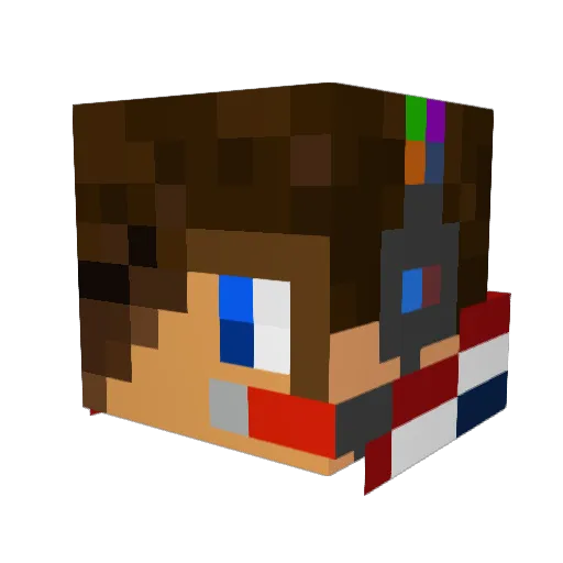 Nariac007 Minecraft avatar head, 3D render