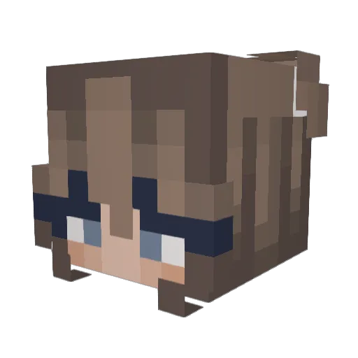 NarieBeMe Minecraft avatar head, 3D render