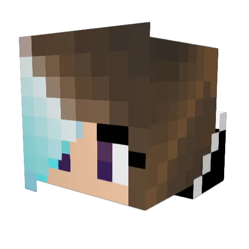 Narinity Minecraft avatar head, 3D render