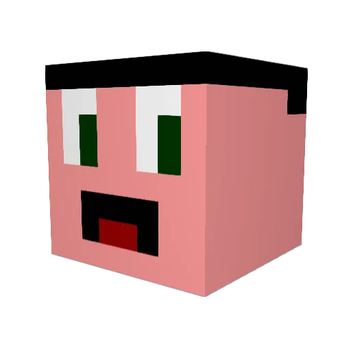 Narkanius Minecraft avatar head, 3D render