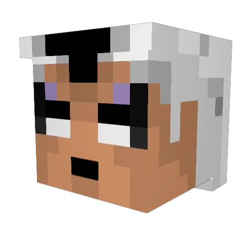 Narkisa Minecraft avatar head, 3D render