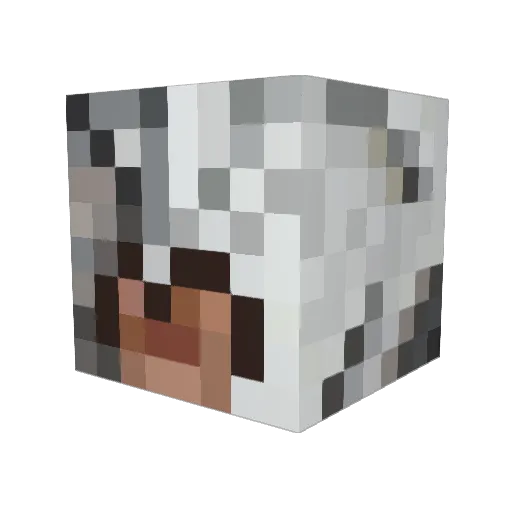 Narkomans Minecraft avatar head, 3D render