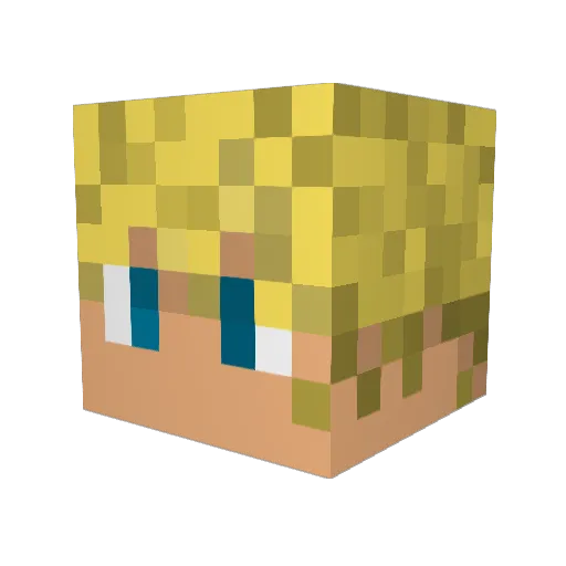 Narkotek76 Minecraft avatar head, 3D render
