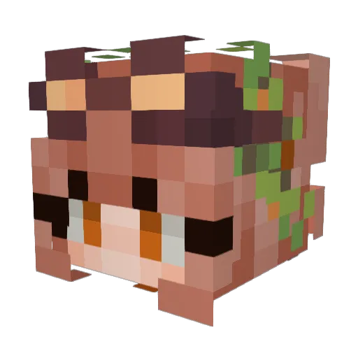 Narlahfen Minecraft avatar head, 3D render