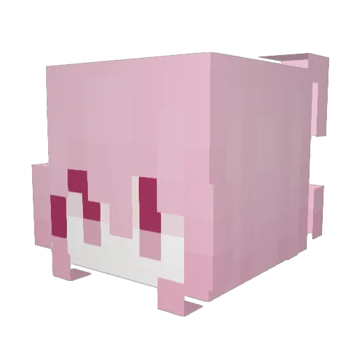 Narlie Minecraft avatar head, 3D render