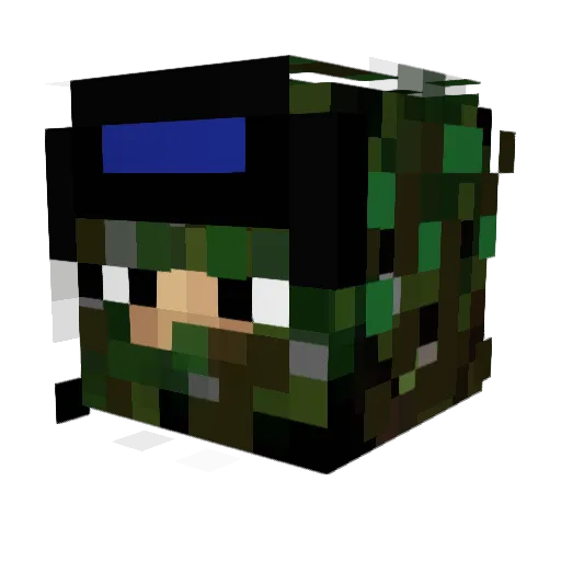 Narni10 Minecraft avatar head, 3D render
