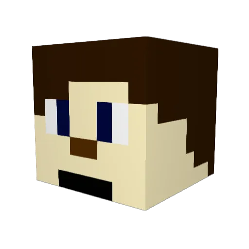 Narnotics Minecraft avatar head, 3D render