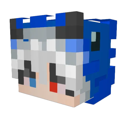 Naro_INTJ Minecraft avatar head, 3D render
