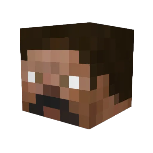 Naron1 Minecraft avatar head, 3D render