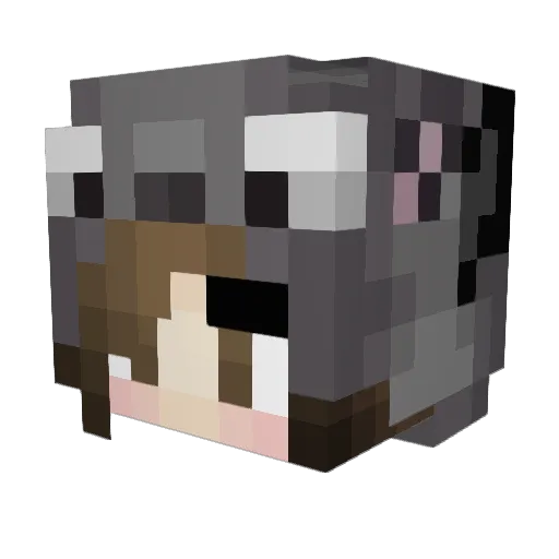 Narotu Minecraft avatar head, 3D render