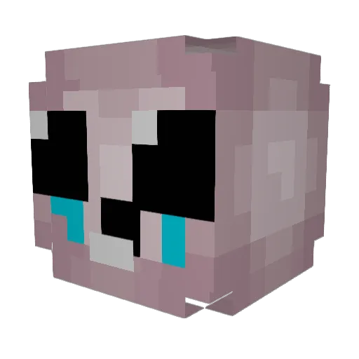 NarpLord Minecraft avatar head, 3D render