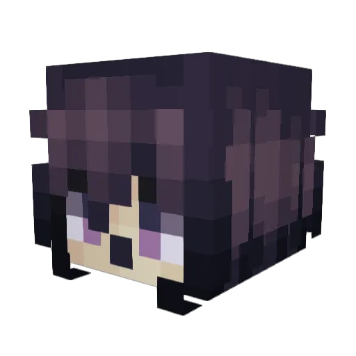 NarraNarra Minecraft avatar head, 3D render