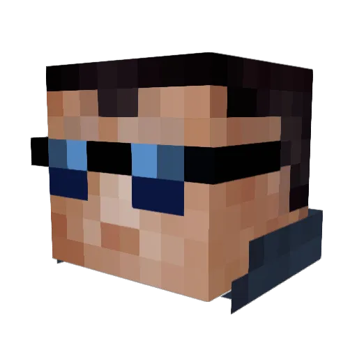 NartarugaTinja Minecraft avatar head, 3D render