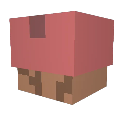 Narthex Minecraft avatar head, 3D render