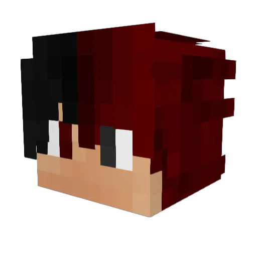Nartis Minecraft avatar head, 3D render