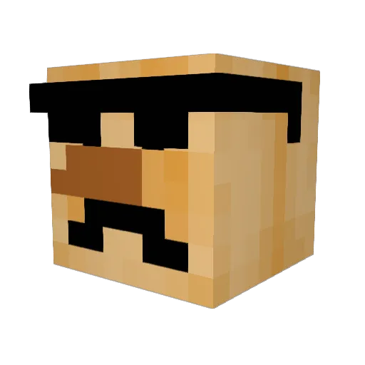 Narwaffle22 Minecraft avatar head, 3D render